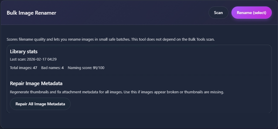 Bulk Image Renamer interface showing scan and rename buttons