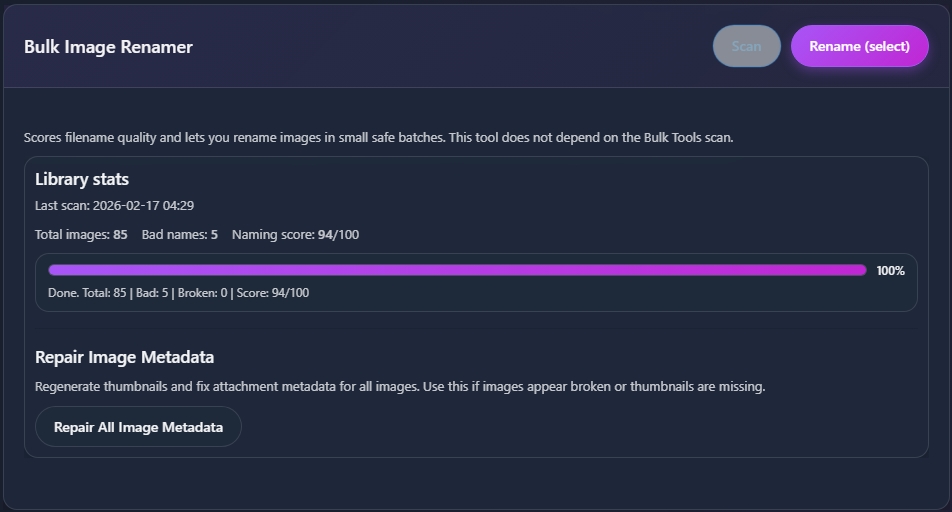 Bulk Image Renamer interface with library stats and progress bar