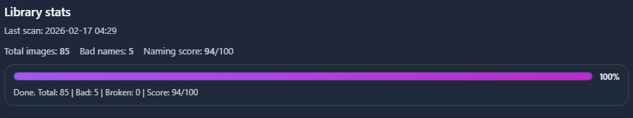 Library stats screen with purple progress bar at 100%
