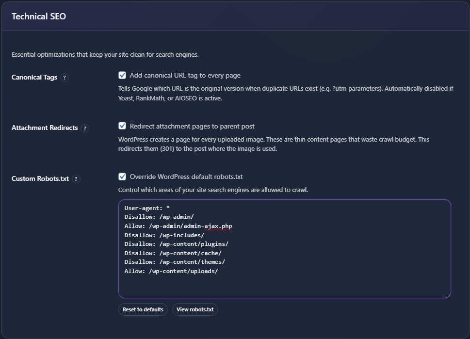 Technical SEO settings with canonical tags, redirects, robots.txt options