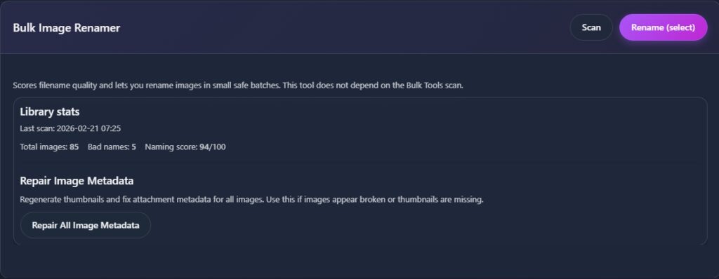 Bulk Image Renamer dashboard with library stats and repair button